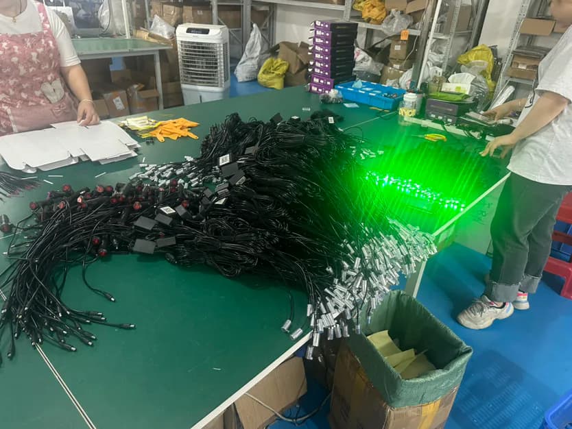 Automotive lighting harness assembly and lighting test reference